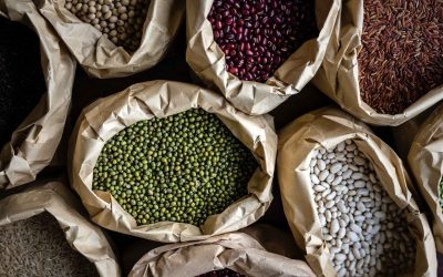 Herramientas para garantizar la calidad de las legumbres para el mercado internacional