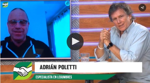 «Esta bueno incorporar legumbres como Garbanzo y Arveja en la rotación» Adrián Poletti – Agrositio