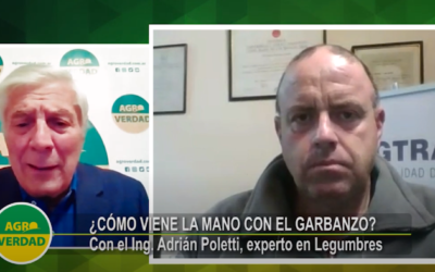 Mercado del Garbanzo y la crisis del Coronavirus: análisis de Adrián Poletti