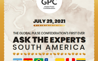 THE GLOBAL PULSE CONFEDERATION’S FIRST EVER  ASK THE EXPERTS SOUTH AMERICA